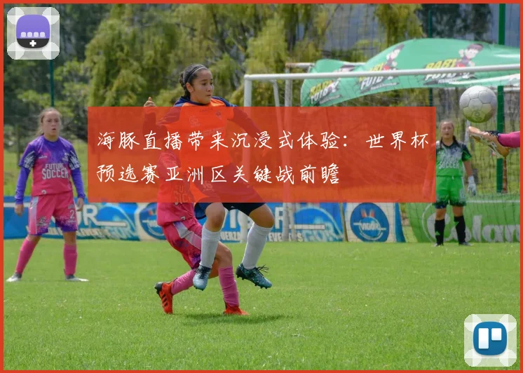 海豚直播带来沉浸式体验：世界杯预选赛亚洲区关键战前瞻