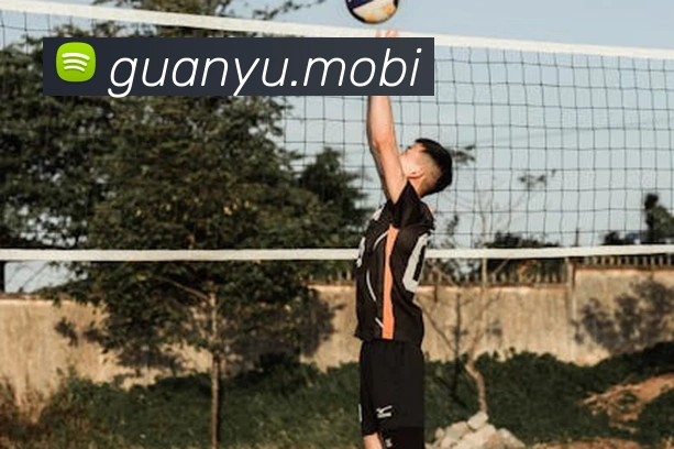 云开体育app官网入口登录网页版服务体系